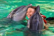 Bali, swimming with dolphins