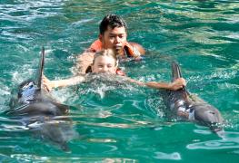 Lovina, swimming with dolphins
